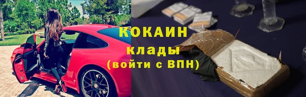 PSILOCYBIN Волосово