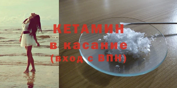 хмурый Ельня
