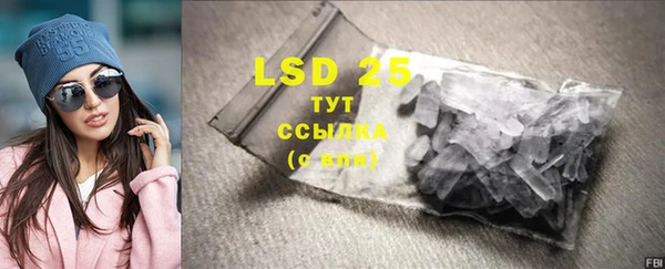 PSILOCYBIN Волосово