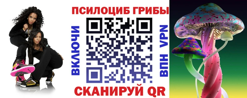 Псилоцибиновые грибы Psilocybe  hydra вход  Демидов  купить наркотик 